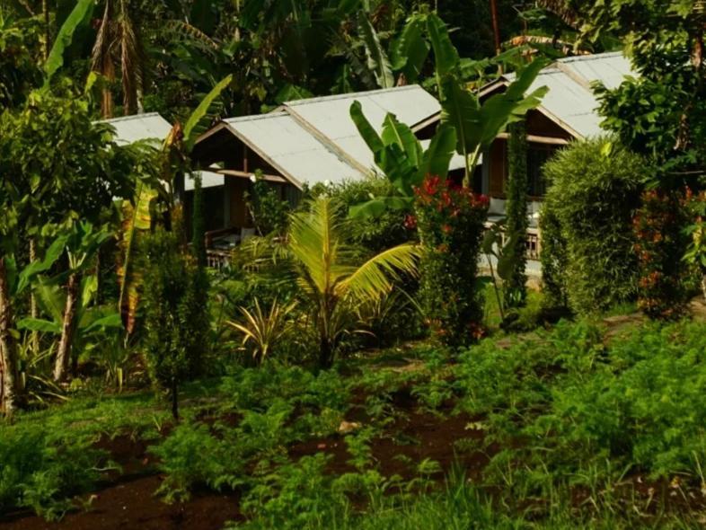 The Geckos Homestay Kelimutu Cameră foto