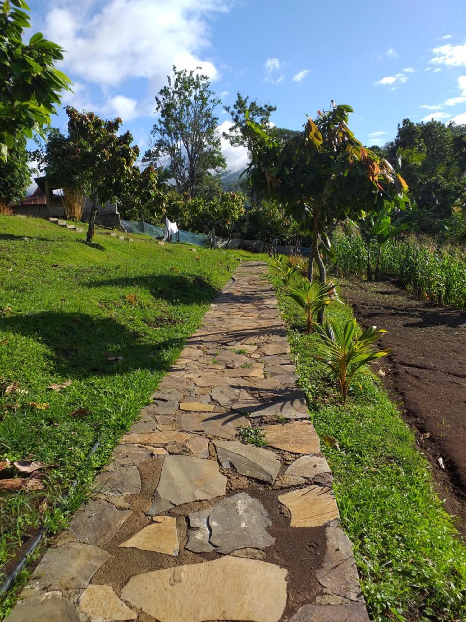The Geckos Homestay Kelimutu Cameră foto